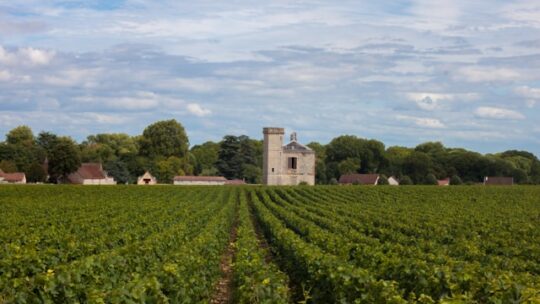 Pourquoi les abbayes de Bourgogne-Franche-Comté devraient-elles être sur votre liste de voyages ?