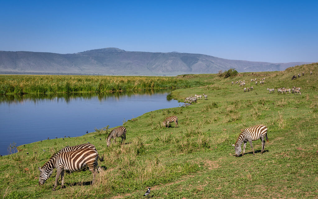 Découvrez les merveilles de Ngorongoro en Tanzanie