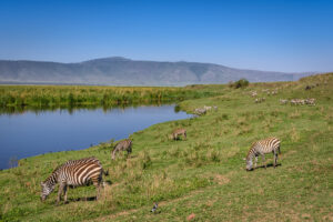 Cratère du Ngorongoro