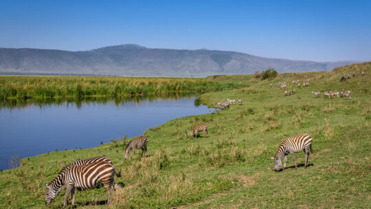 Découvrez les merveilles de Ngorongoro en Tanzanie