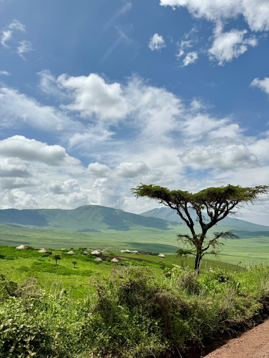 cratère Ngorongoro