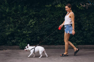 les promenades quotidiennes pour le bien-être de votre chien