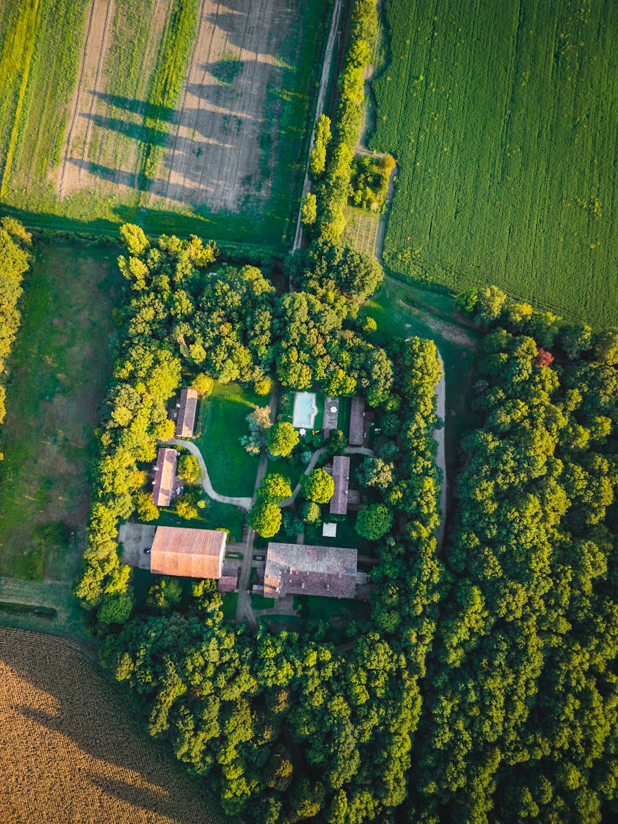 Domaine de l'Esterel